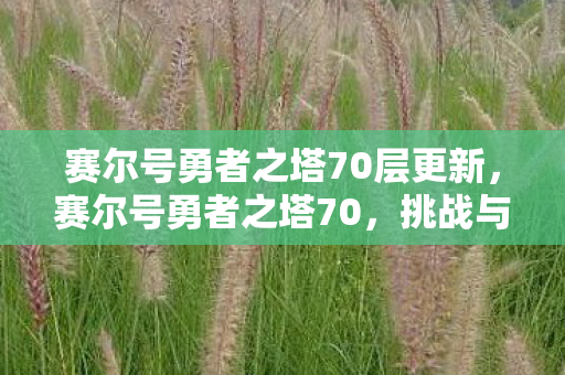 赛尔号勇者之塔70层更新，赛尔号勇者之塔70，挑战与成长的试炼场