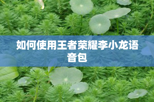 如何使用王者荣耀李小龙语音包
