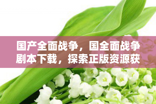 国产全面战争，国全面战争剧本下载，探索正版资源获取途径