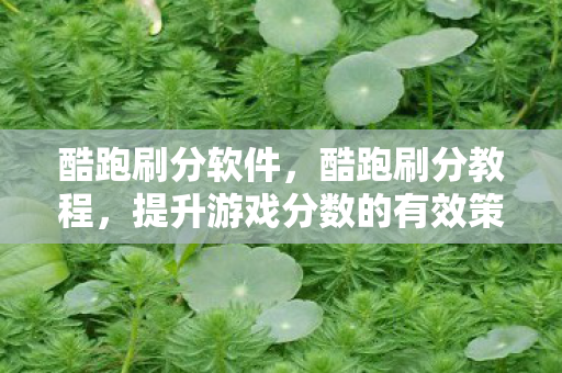 酷跑刷分软件，酷跑刷分教程，提升游戏分数的有效策略