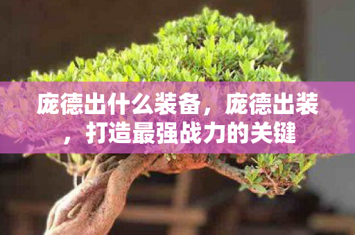 庞德出什么装备，庞德出装，打造最强战力的关键