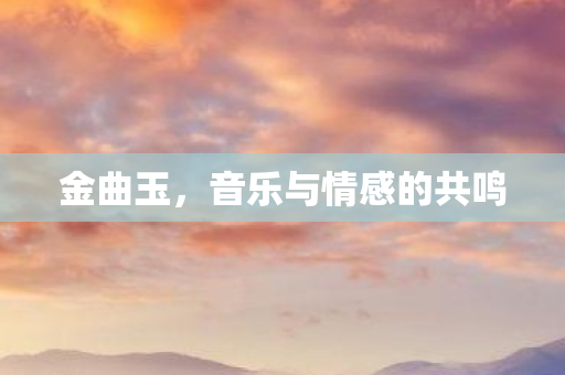 金曲玉，音乐与情感的共鸣