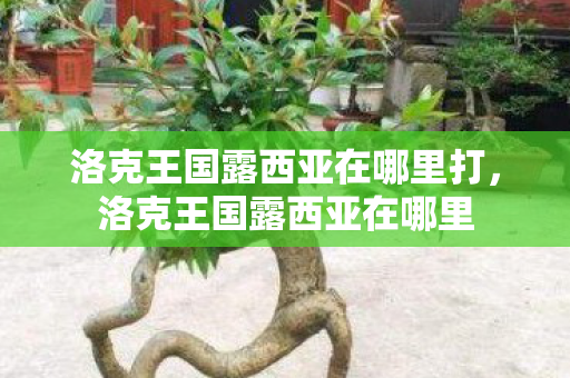 洛克王国露西亚在哪里打，洛克王国露西亚在哪里