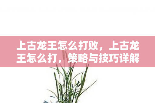 上古龙王怎么打败，上古龙王怎么打，策略与技巧详解