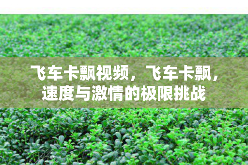 飞车卡飘视频，飞车卡飘，速度与激情的极限挑战