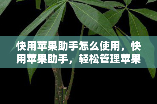 快用苹果助手怎么使用，快用苹果助手，轻松管理苹果设备的实用工具