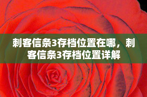 刺客信条3存档位置在哪，刺客信条3存档位置详解