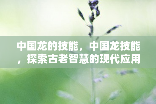 中国龙的技能，中国龙技能，探索古老智慧的现代应用