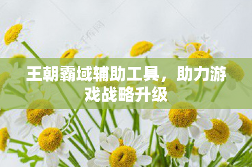 王朝霸域辅助工具，助力游戏战略升级