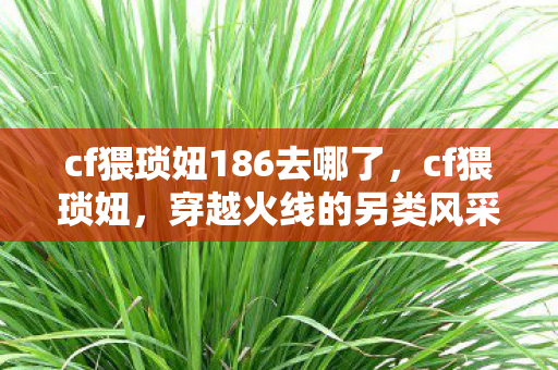 cf猥琐妞186去哪了，cf猥琐妞，穿越火线的另类风采