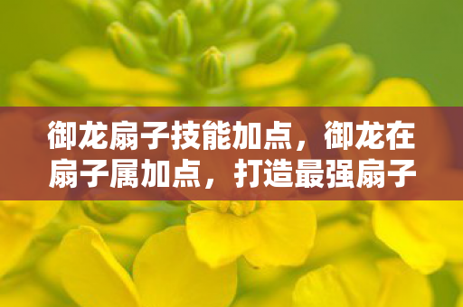 御龙扇子技能加点，御龙在扇子属加点，打造最强扇子的策略指南