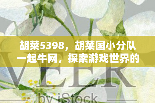 胡莱5398，胡莱国小分队一起牛网，探索游戏世界的奇妙之旅
