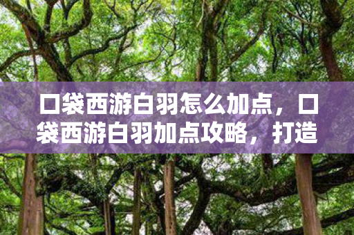 口袋西游白羽怎么加点，口袋西游白羽加点攻略，打造最强角色