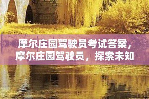 摩尔庄园驾驶员考试答案，摩尔庄园驾驶员，探索未知世界的奇妙之旅