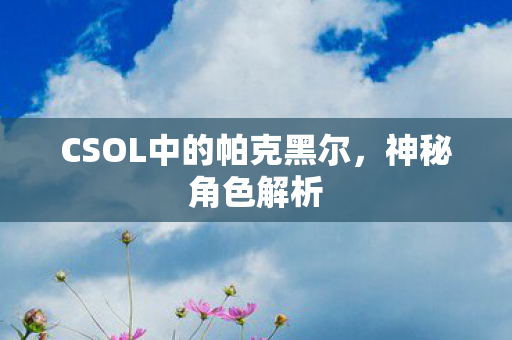 CSOL中的帕克黑尔，神秘角色解析