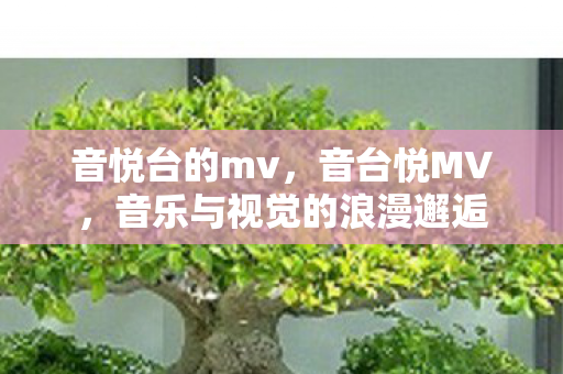 音悦台的mv，音台悦MV，音乐与视觉的浪漫邂逅