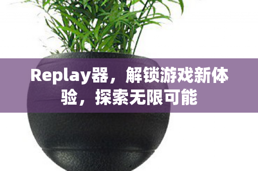 Replay器，解锁游戏新体验，探索无限可能