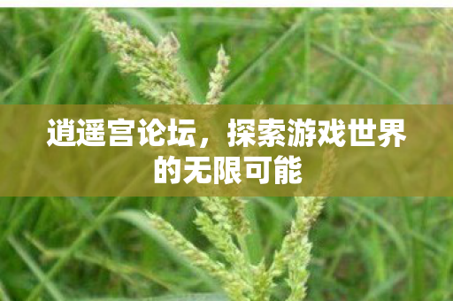 逍遥宫论坛，探索游戏世界的无限可能