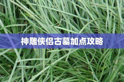 神雕侠侣古墓加点攻略