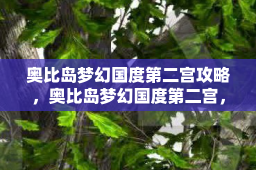 奥比岛梦幻国度第二宫攻略，奥比岛梦幻国度第二宫，探索未知，挑战自我