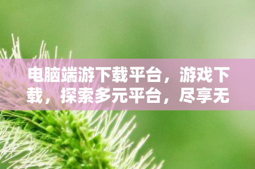 电脑端游下载平台，游戏下载，探索多元平台，尽享无限乐趣