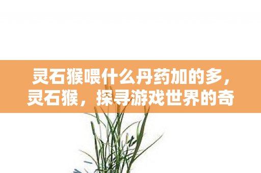 灵石猴喂什么丹药加的多，灵石猴，探寻游戏世界的奇妙之旅