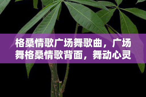 格桑情歌广场舞歌曲，广场舞格桑情歌背面，舞动心灵的旋律