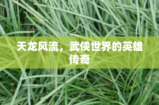 天龙风流,武侠世界的英雄传奇 天龙风流,武侠世界的英雄传奇