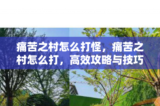 痛苦之村怎么打怪，痛苦之村怎么打，高效攻略与技巧分享