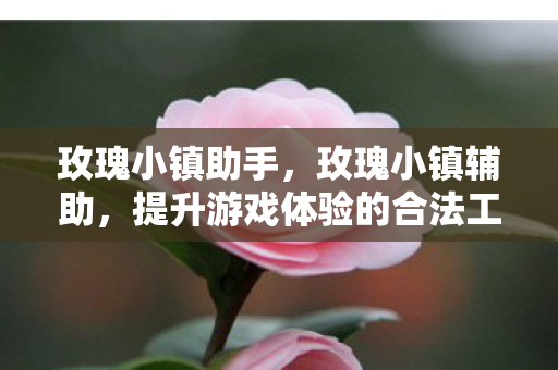 玫瑰小镇助手，玫瑰小镇辅助，提升游戏体验的合法工具