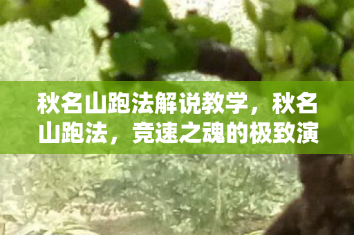 秋名山跑法解说教学，秋名山跑法，竞速之魂的极致演绎