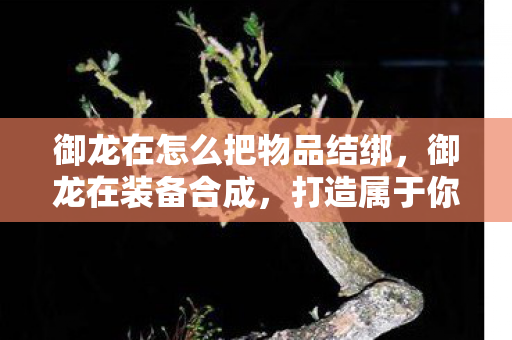 御龙在怎么把物品结绑，御龙在装备合成，打造属于你的传奇装备