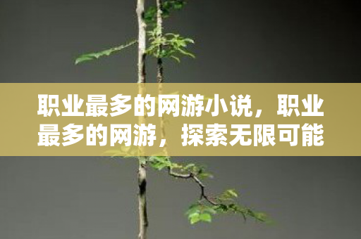 职业最多的网游小说，职业最多的网游，探索无限可能的幻想世界