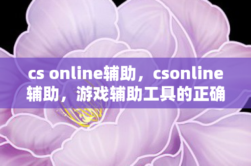 cs online辅助，csonline辅助，游戏辅助工具的正确使用与规范