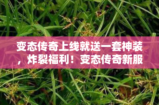 变态传奇上线就送一套神装，炸裂福利！变态传奇新服开启，上线即赠终极神器！