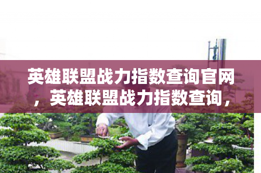 英雄联盟战力指数查询官网，英雄联盟战力指数查询，解锁你的游戏潜能