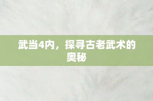 武当4内，探寻古老武术的奥秘