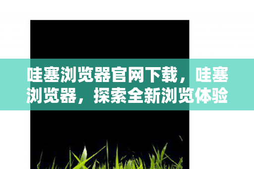 哇塞浏览器官网下载，哇塞浏览器，探索全新浏览体验