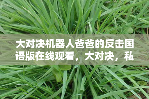 大对决机器人爸爸的反击国语版在线观看，大对决，私服与官网的竞技，玩家为何选择私服？