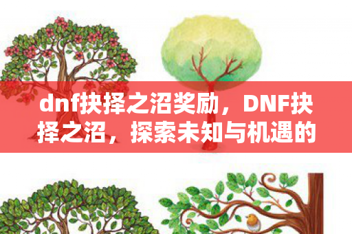 dnf抉择之沼奖励，DNF抉择之沼，探索未知与机遇的冒险之旅