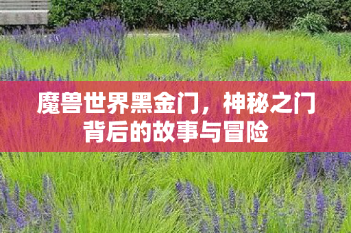 魔兽世界黑金门，神秘之门背后的故事与冒险