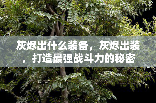 灰烬出什么装备，灰烬出装，打造最强战斗力的秘密