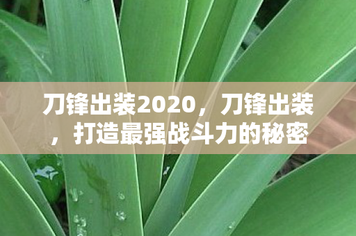 刀锋出装2020，刀锋出装，打造最强战斗力的秘密