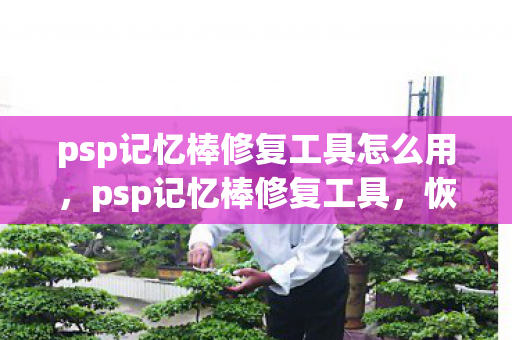 psp记忆棒修复工具怎么用，psp记忆棒修复工具，恢复数据，让游戏记忆不再丢失