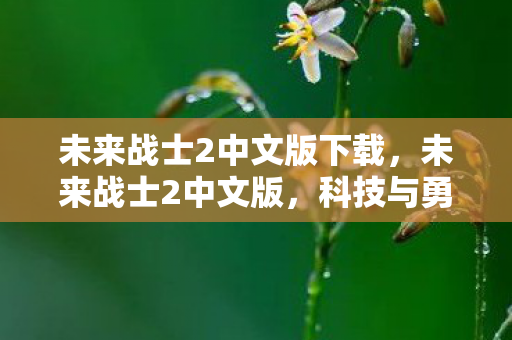 未来战士2中文版下载，未来战士2中文版，科技与勇气的未来篇章
