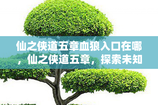 仙之侠道五章血狼入口在哪，仙之侠道五章，探索未知，追寻真我