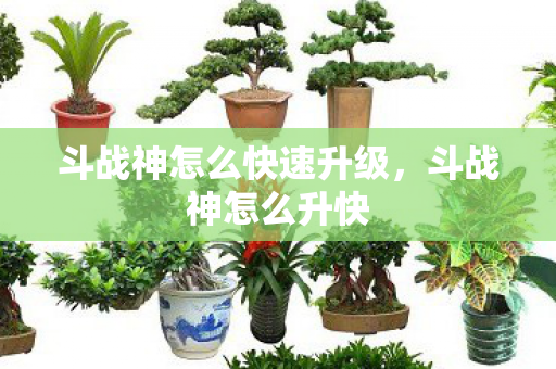 斗战神怎么快速升级，斗战神怎么升快