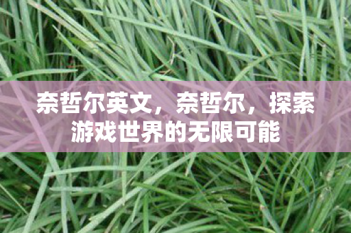 奈哲尔英文，奈哲尔，探索游戏世界的无限可能