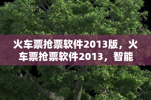 火车票抢票软件2013版，火车票抢票软件2013，智能抢票，便捷出行