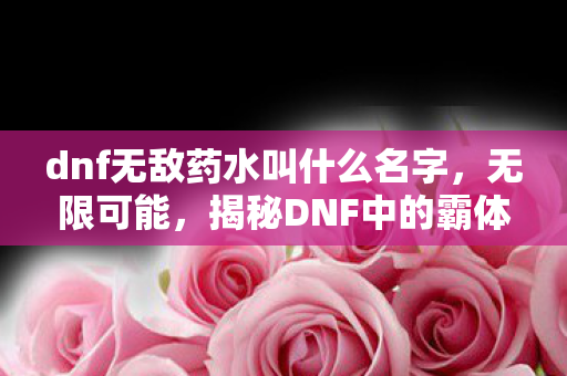 dnf无敌药水叫什么名字，无限可能，揭秘DNF中的霸体护甲药水